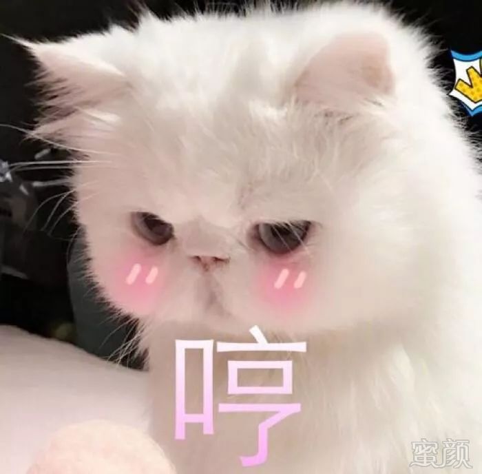 https://img.miyanlife.com/mnt/timg/191209/1404043093-18.jpg