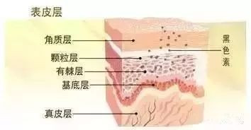 案例图片