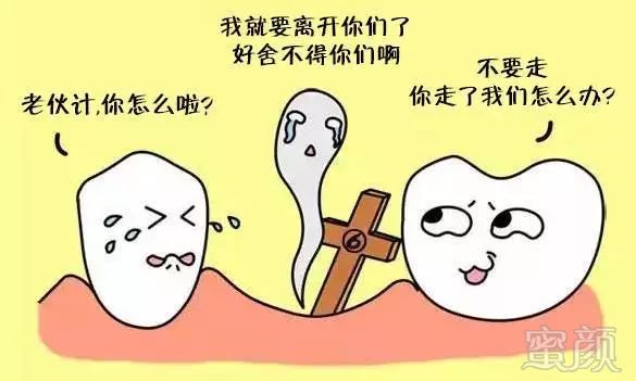 https://img.miyanlife.com/mnt/timg/191217/13591515N-0.jpg