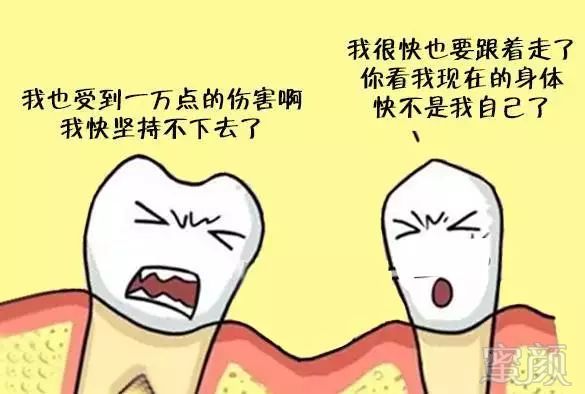 https://img.miyanlife.com/mnt/timg/191217/1359161I3-4.jpg