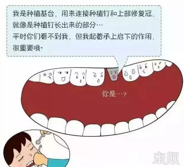 https://img.miyanlife.com/mnt/timg/191217/1359195501-12.jpg