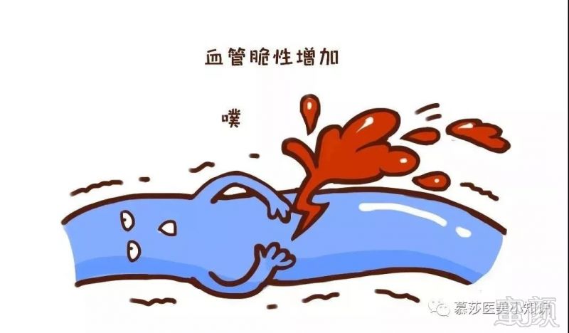 https://img.miyanlife.com/mnt/timg/191217/135I13O2-4.jpg