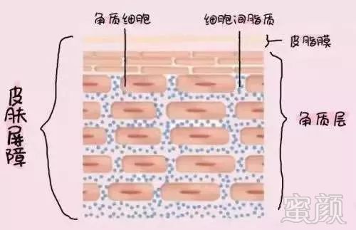 案例图片