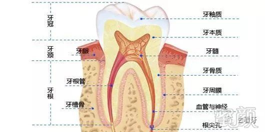 案例图片