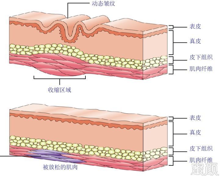 案例图片