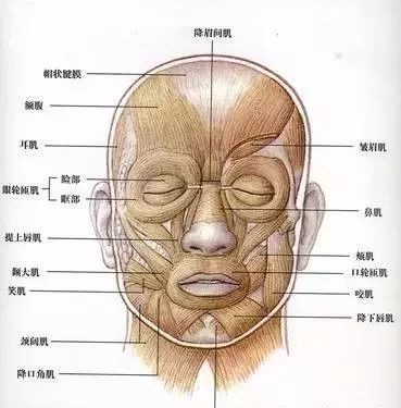 https://img.miyanlife.com/mnt/timg/191219/1F9351242-0.jpg