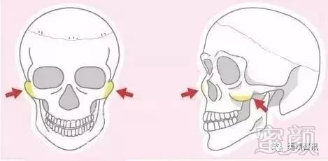 https://img.miyanlife.com/mnt/timg/191219/1FZ2I29-1.jpg
