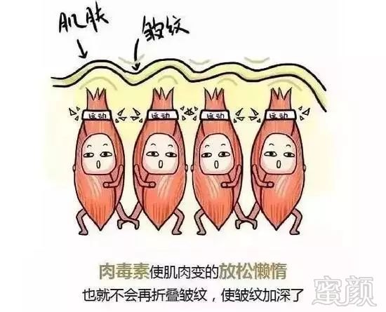 https://img.miyanlife.com/mnt/timg/191219/1G44aN8-1.jpg