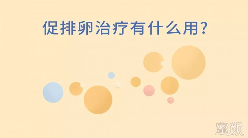 https://img.miyanlife.com/mnt/timg/191220/1350311920-2.jpg