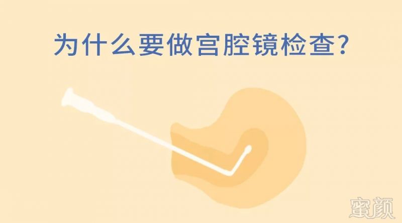 https://img.miyanlife.com/mnt/timg/191220/1350315U6-1.jpg