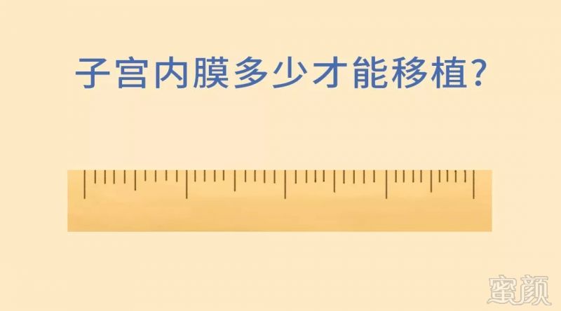 https://img.miyanlife.com/mnt/timg/191220/1350321200-4.jpg