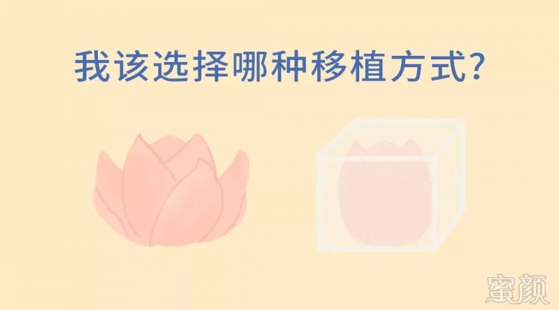 https://img.miyanlife.com/mnt/timg/191220/1350323K1-3.jpg