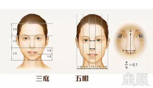 https://img.miyanlife.com/mnt/timg/191220/145FV5X-2.jpg