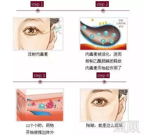https://img.miyanlife.com/mnt/timg/191220/151Q44620-5.jpg