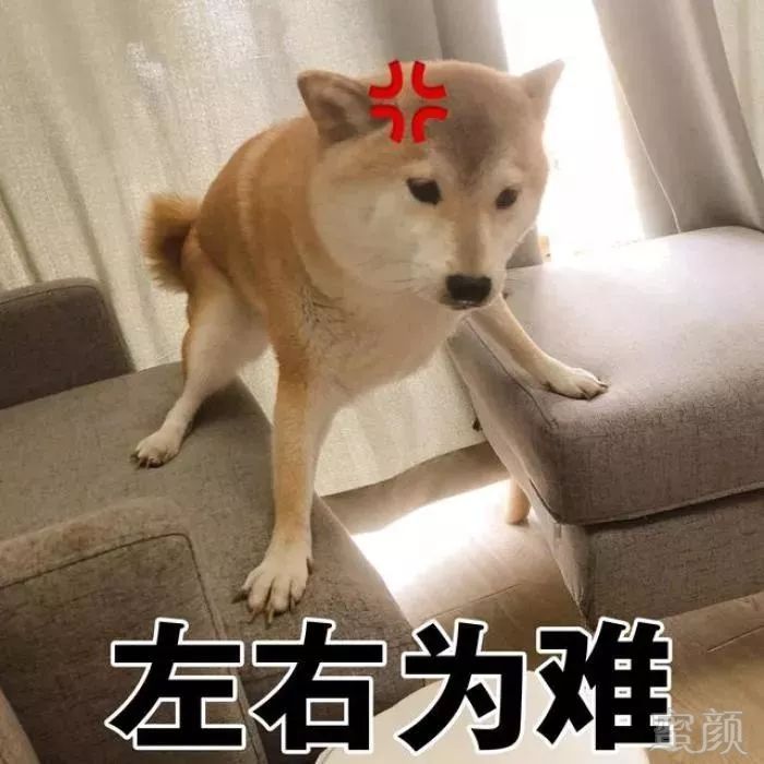 https://img.miyanlife.com/mnt/timg/191220/15442RJ3-1.jpg