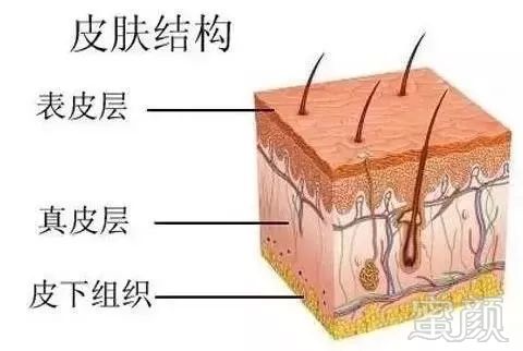 https://img.miyanlife.com/mnt/timg/191220/160635L34-2.jpg