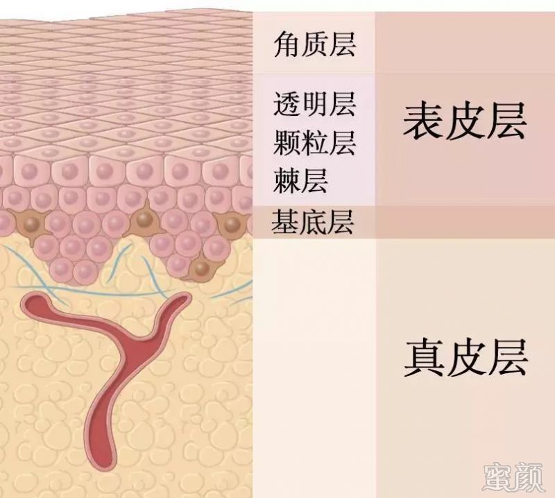 https://img.miyanlife.com/mnt/timg/191221/12220212P-3.jpg