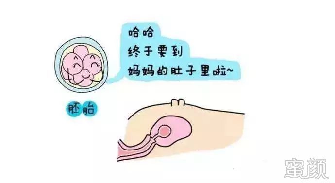 https://img.miyanlife.com/mnt/timg/191221/1235205960-5.jpg