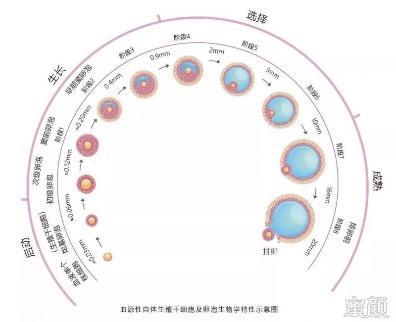 https://img.miyanlife.com/mnt/timg/191221/1246144F1-1.jpg