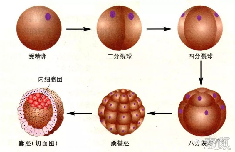 https://img.miyanlife.com/mnt/timg/191221/125132DE-0.jpg