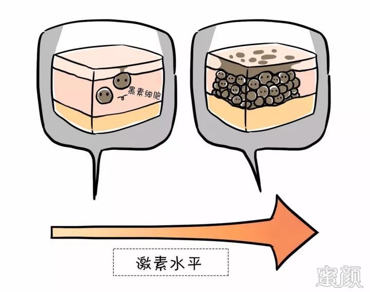 https://img.miyanlife.com/mnt/timg/191221/13031544a-2.jpg