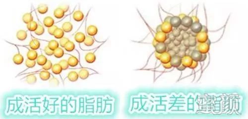 https://img.miyanlife.com/mnt/timg/191221/1309523R6-3.jpg