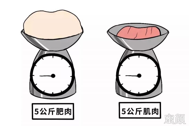 https://img.miyanlife.com/mnt/timg/191222/13512WT1-2.jpg