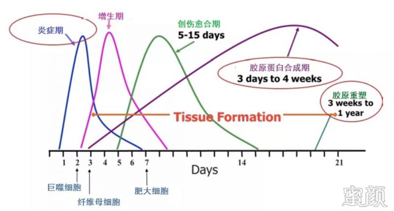 案例图片