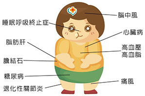 https://img.miyanlife.com/mnt/timg/191223/1H51430a-2.jpg