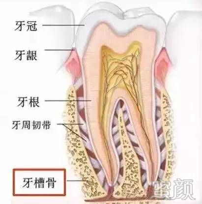 案例图片