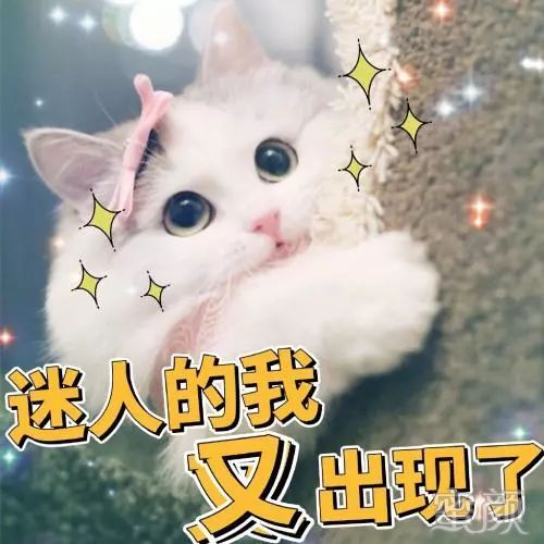 https://img.miyanlife.com/mnt/timg/191224/1255292319-0.jpg