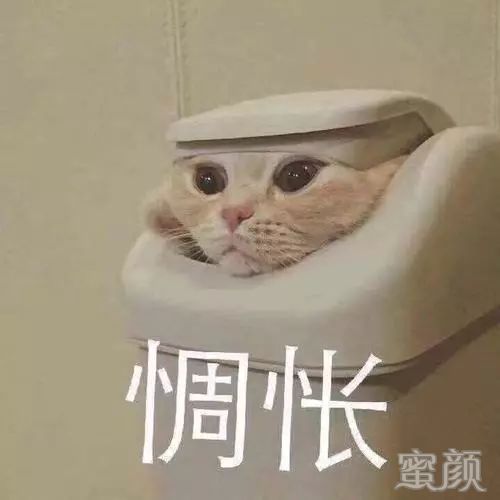 https://img.miyanlife.com/mnt/timg/191224/125529EB-1.jpg