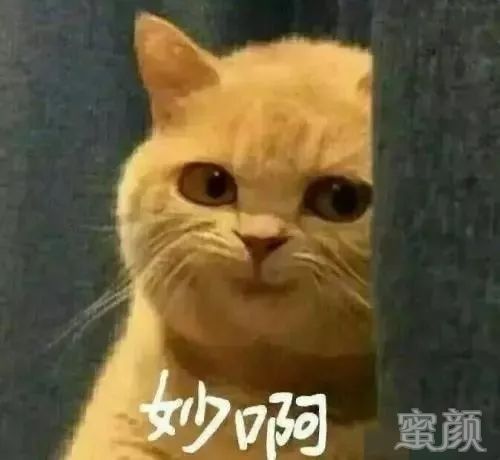 https://img.miyanlife.com/mnt/timg/191224/1255302L4-2.jpg