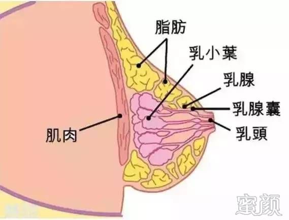 案例图片