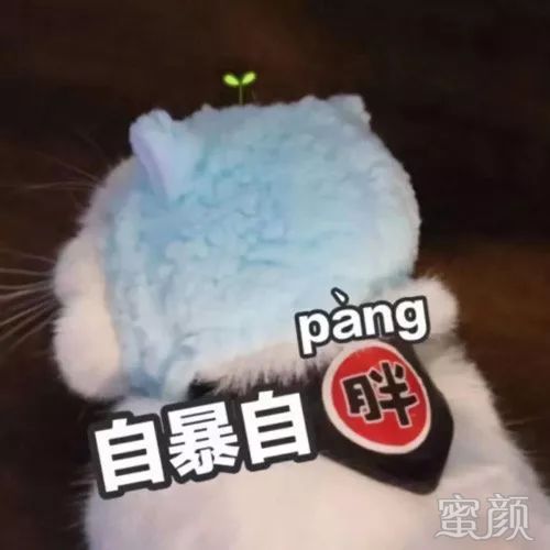 https://img.miyanlife.com/mnt/timg/191227/132240N44-0.jpg