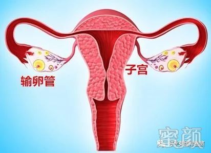 https://img.miyanlife.com/mnt/timg/191227/1500591548-0.jpg