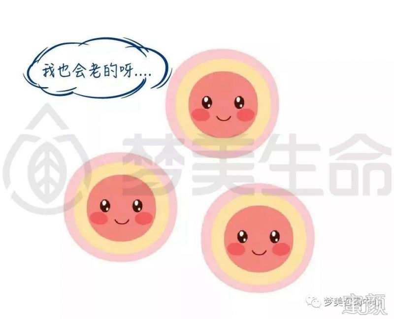 https://img.miyanlife.com/mnt/timg/191228/1H35SW3-1.jpg