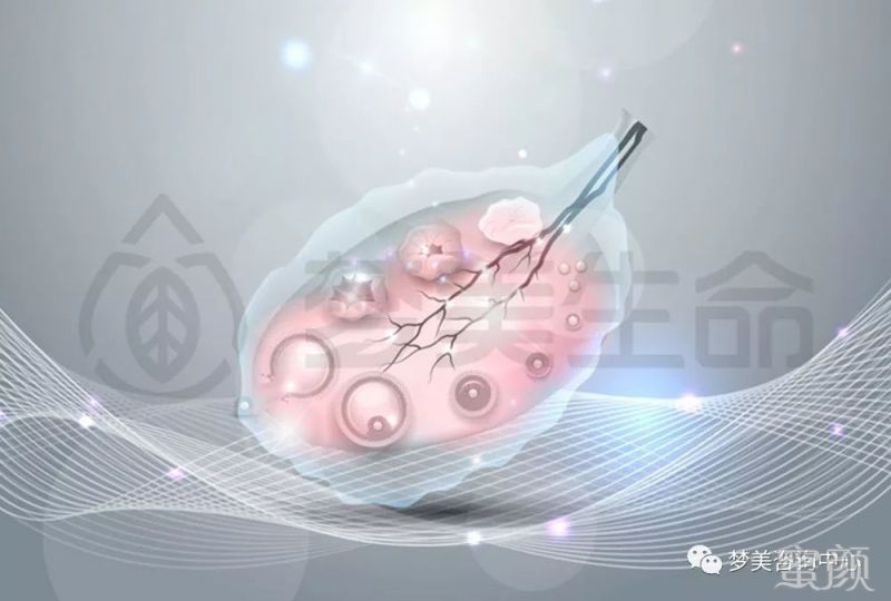 https://img.miyanlife.com/mnt/timg/191228/1H4034615-7.jpg
