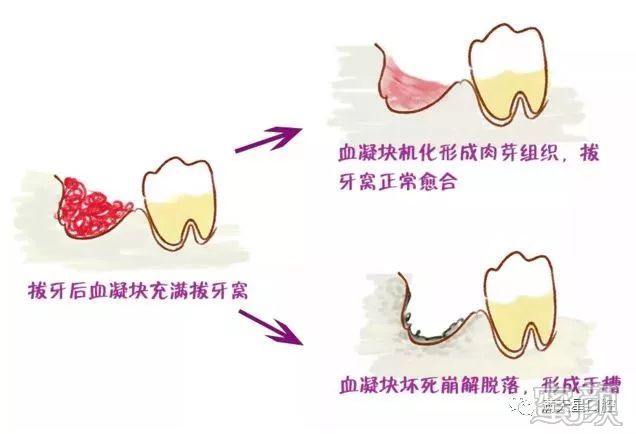 案例图片