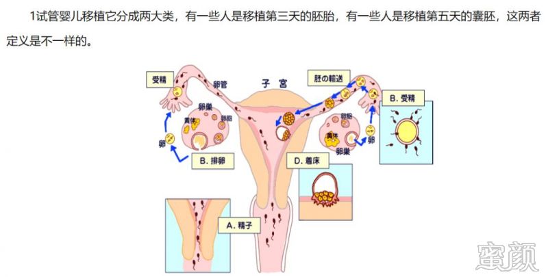 案例图片