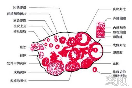 案例图片