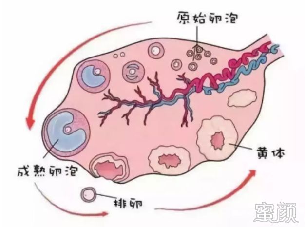 案例图片