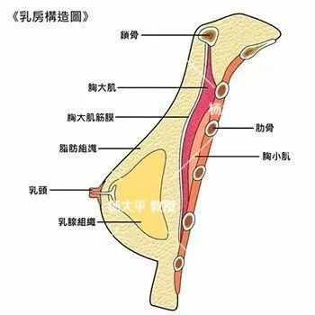 案例图片