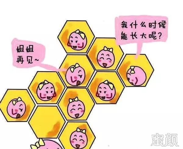 https://img.miyanlife.com/mnt/timg/200102/12492960O-1.jpg