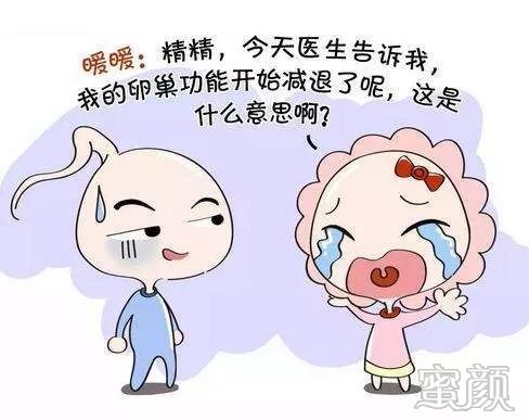 https://img.miyanlife.com/mnt/timg/200102/12492SN4-0.jpg