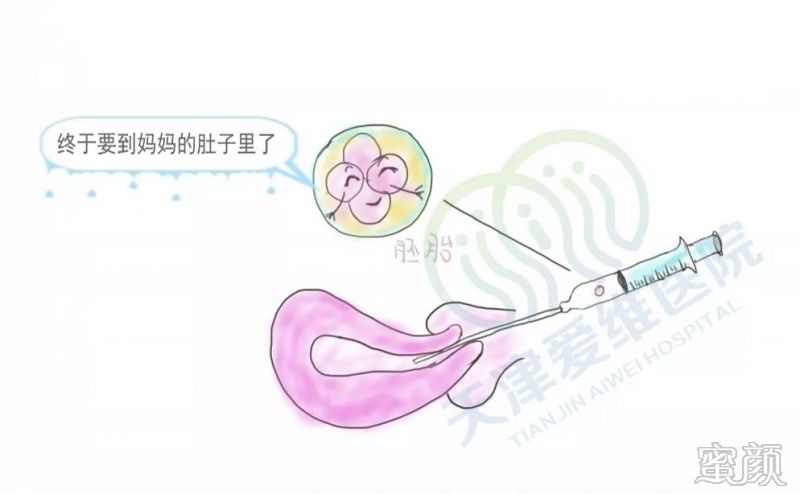 https://img.miyanlife.com/mnt/timg/200102/125245I09-4.jpg