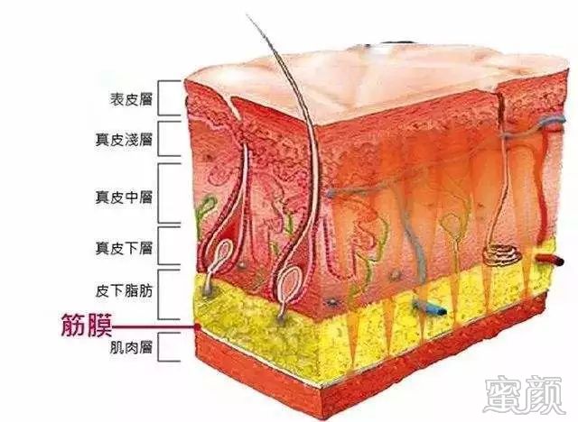 https://img.miyanlife.com/mnt/timg/200102/144F03602-4.jpg