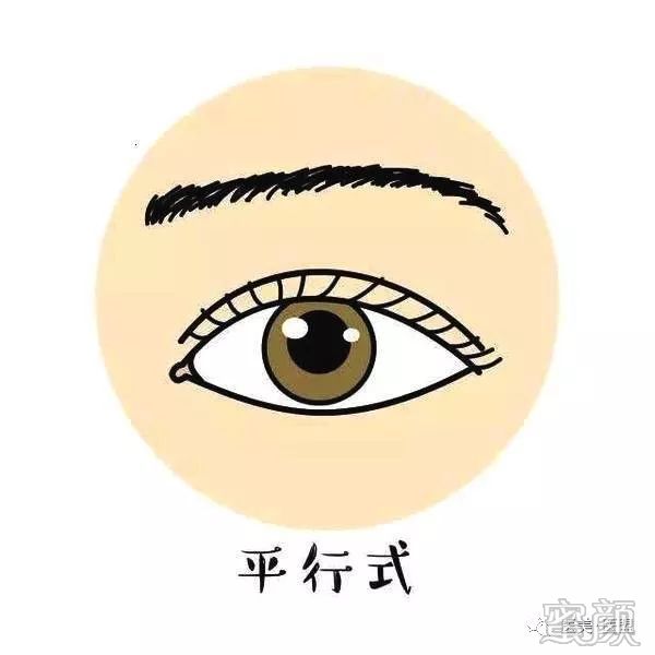 案例图片