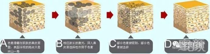 https://img.miyanlife.com/mnt/timg/200104/1F95L504-2.jpg