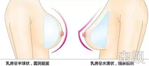 https://img.miyanlife.com/mnt/timg/200105/1552233460-7.jpg